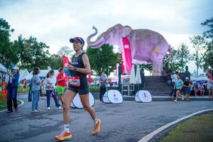 BIB: 
                            <button type="button" onclick="openModal(26551728)" class="btn btn-primary btn-sm float-right btn-popup" data-toggle="modal" data-target=".modal-high-quality">
                        <i class="fas fa-shopping-cart"></i> Add to Cart
                    </button>
                                            <button type="button" onclick="isThisMe(26551728, true)" class="btn btn-success btn-sm float-right btn-popup btn-isme hidden" data-toggle="tooltip" data-placement="bottom" title="นี่คือรูปของคุณใช่ไหม คลิกที่นี่เพื่อเอาเข้าอัลบั้ม">
                        <i class="fas fa-plus"></i> Add to album
                    </button>
                    <button type="button" onclick="isThisMe(26551728, false)" class="btn btn-warning btn-sm float-right btn-popup btn-isnotme hidden">
                        <i class="fas fa-ban"></i> Remove from album
                    </button>